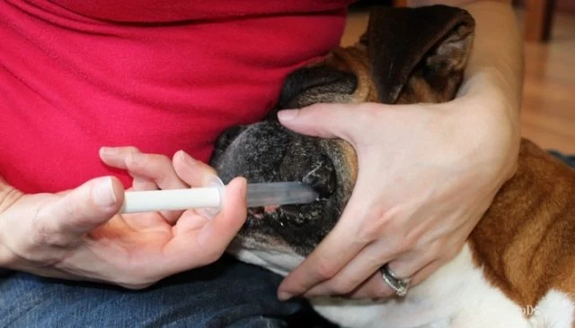 Deworming Service